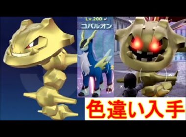 【ポケモンZA】ハガネール色違いオヤブン入手・準伝説コバルオン出現場所【M次元ラッシュ】攻略DLC実況