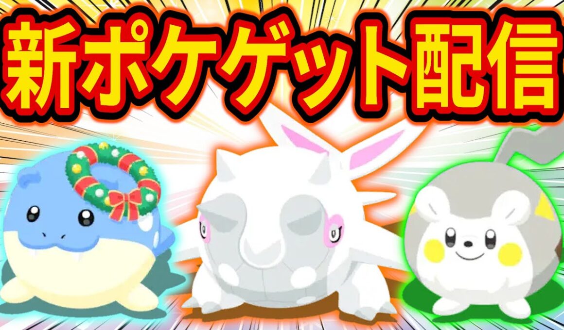 【伝説ポケモンGET】ホリデーイベント新ポケモン「ハルクジラ/ホリデータマザラシ/トゲデマル」をゲットする伝説のポケスリ睡眠リサーチ配信【ポケモンスリープ】