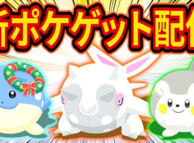 【伝説ポケモンGET】ホリデーイベント新ポケモン「ハルクジラ/ホリデータマザラシ/トゲデマル」をゲットする伝説のポケスリ睡眠リサーチ配信【ポケモンスリープ】