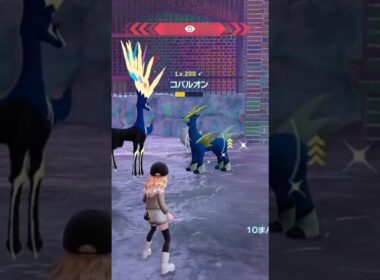 ついに色違いコバルオン！ #ポケモン #ポケモンza #配布 #pokemon