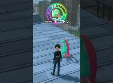 Pokémon LEGENDS Z-A M次元ラッシュ　キモリ★