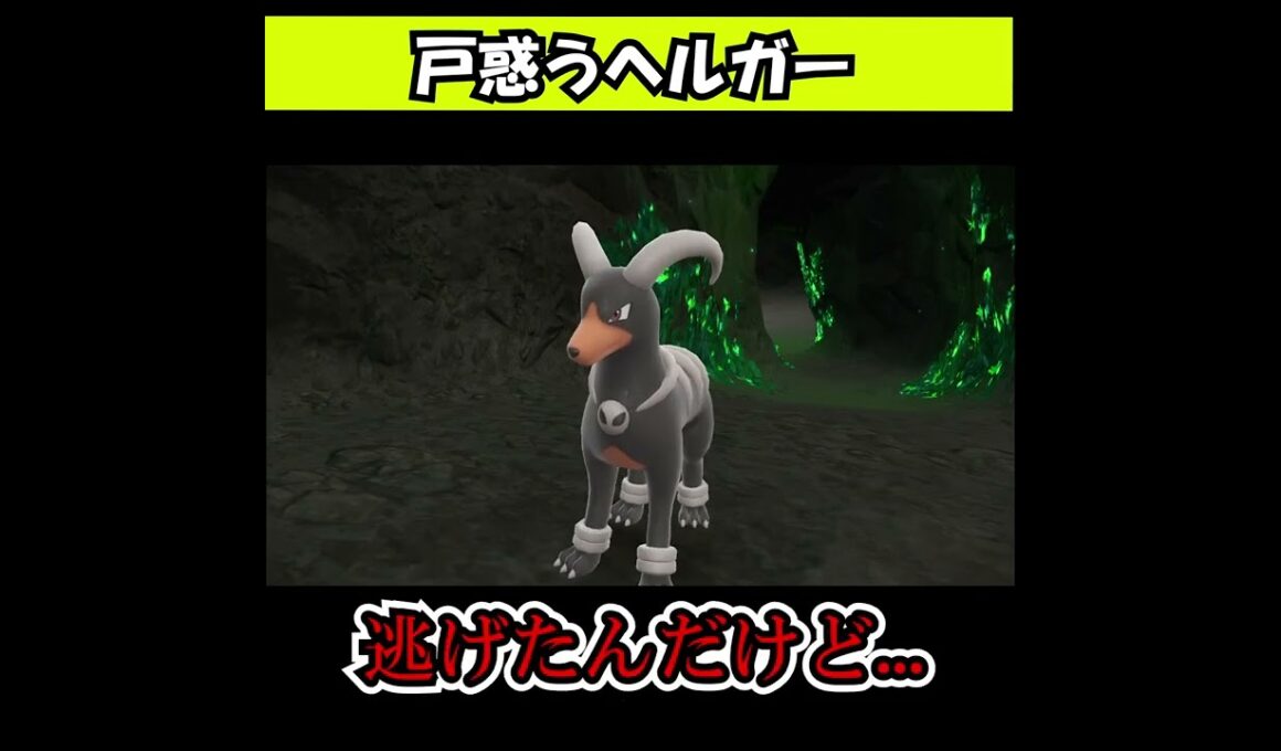 戦わせてもらえなくて戸惑うヘルガー[ポケモンSV]#shorts