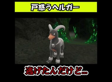 戦わせてもらえなくて戸惑うヘルガー[ポケモンSV]#shorts
