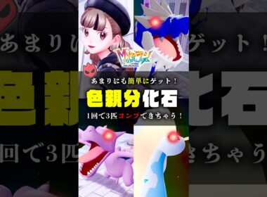 【化石色オヤブン】超簡単になった化石ポケモンの色違い厳選をご紹介 #ポケモンZA #ポケモン #shorts #カナリィ#プテラ #ガチゴラス #アマルルガ #メガシンカ #ZA #色違い #カラスバ
