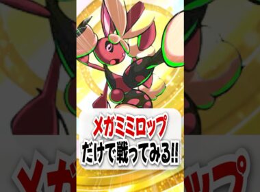 【検証】最強のロマンカード！メガミミロップだけで戦ってみた！【ポケポケ】