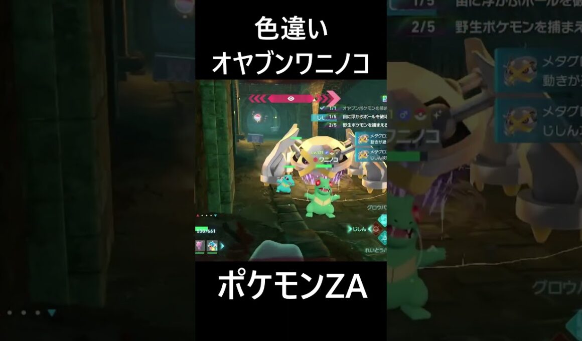 色違いオヤブンワニノコ ポケモンレジェンズZA M次元ラッシュ Pokémon LEGENDS Z-A Mega Dimension #shorts #ポケモン