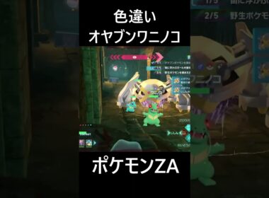 色違いオヤブンワニノコ ポケモンレジェンズZA M次元ラッシュ Pokémon LEGENDS Z-A Mega Dimension #shorts #ポケモン