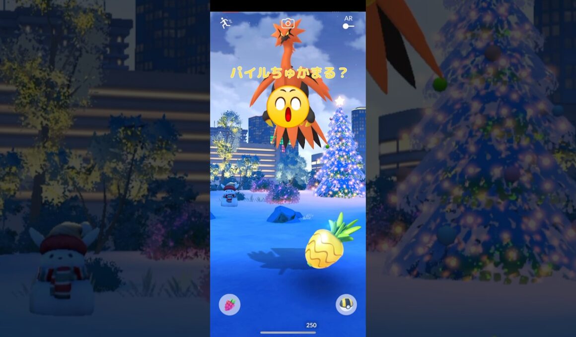 今日こそはガラルザンダーパイルでちゅかまえられるか⁉️