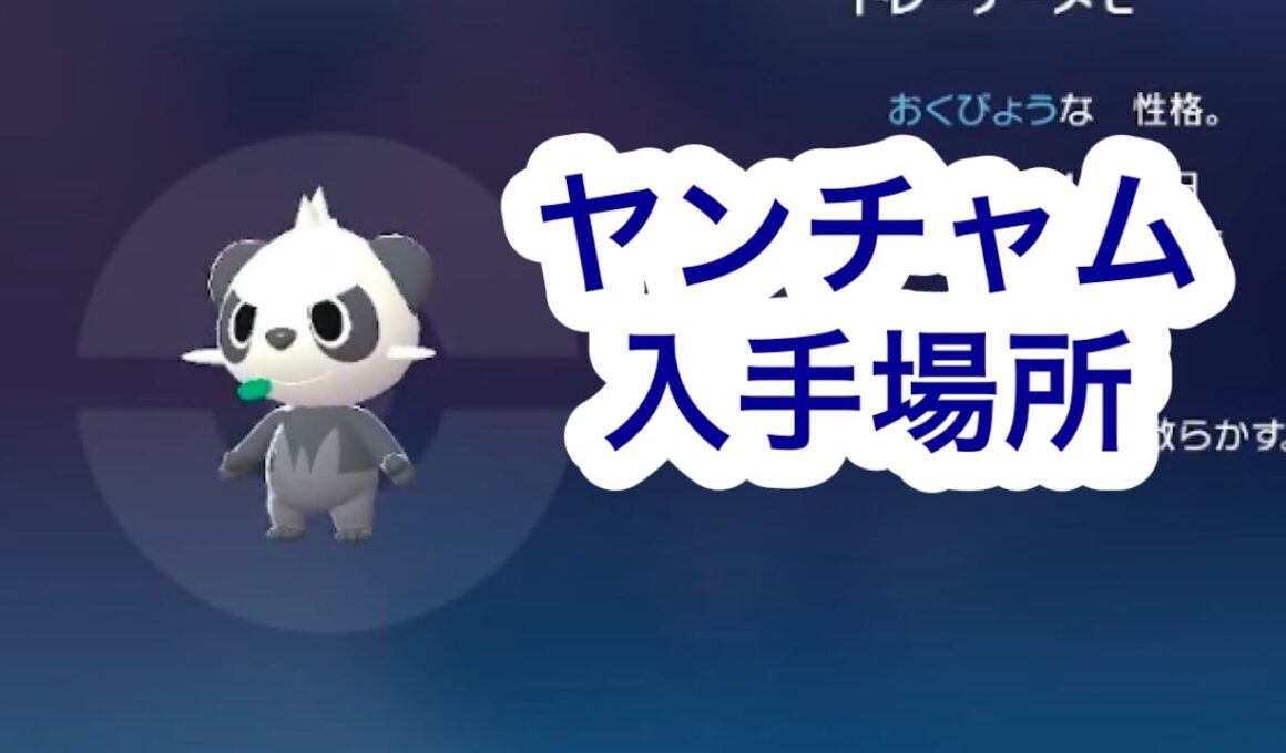 【ポケモンZA】ヤンチャム入手場所
