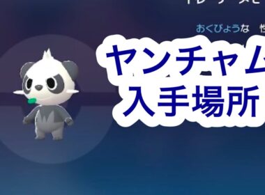 【ポケモンZA】ヤンチャム入手場所