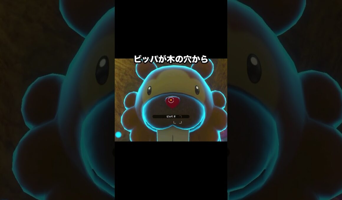 【カワイイの権化】ビッパのつぶらな瞳vsカワイイお尻 #ポケモン #newポケモンスナップ