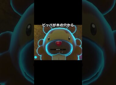 【カワイイの権化】ビッパのつぶらな瞳vsカワイイお尻 #ポケモン #newポケモンスナップ