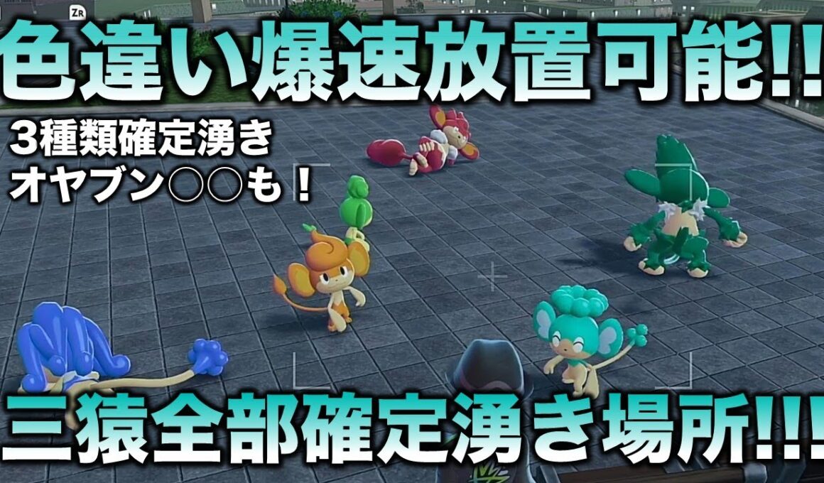 【三猿色違い!!】ヤナップ・バオップ・ヒヤップ編!!【ポケモンZA】