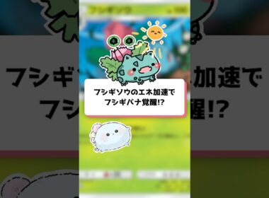 【ポケポケ】フシギソウのエネ加速でフシギバナ覚醒!?【ほたっぺ/VTuber】#shorts