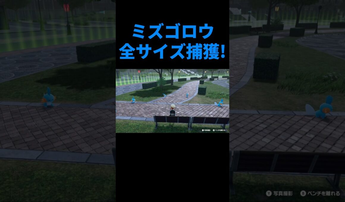 ポケモンZA DLC ミズゴロウを全サイズゲット!さっそく比較!! ポケモンZA M次元ラッシュ #shorts