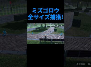 ポケモンZA DLC ミズゴロウを全サイズゲット!さっそく比較!! ポケモンZA M次元ラッシュ #shorts