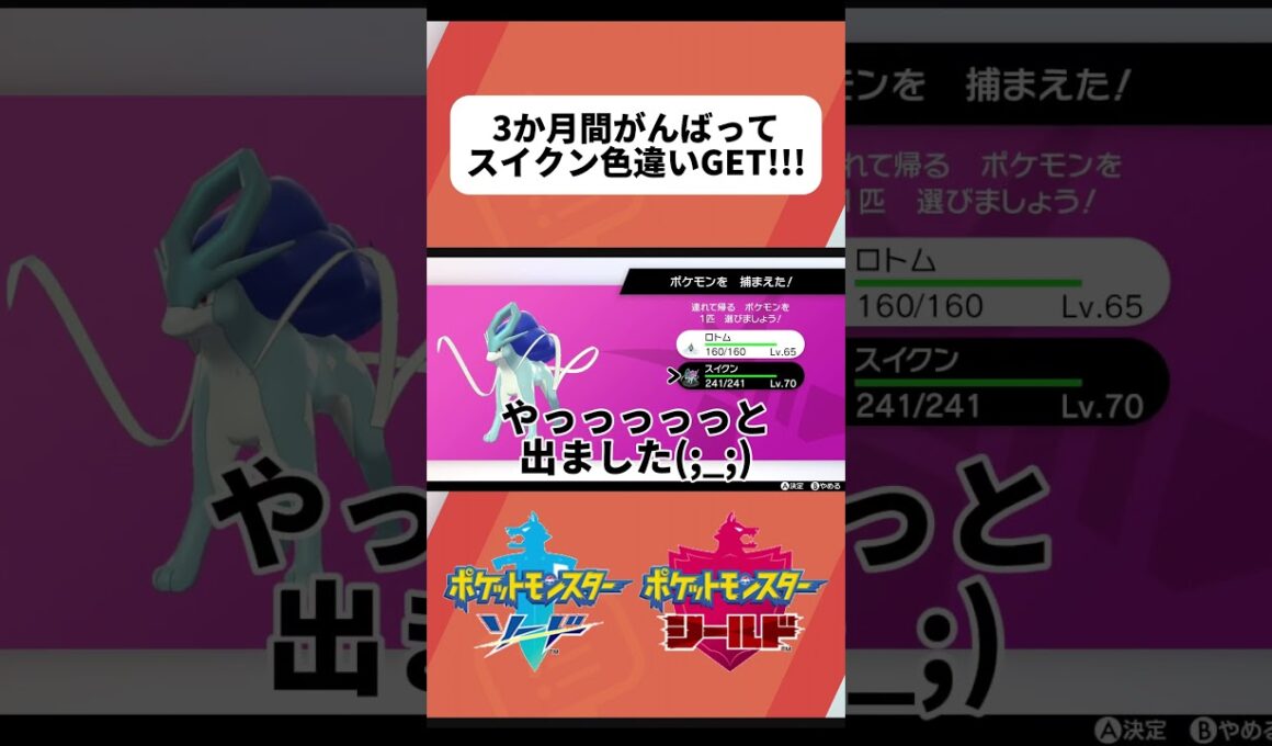 【ポケモン剣盾】ダイマックスアドベンチャーでスイクンの色違いGET!!#ポケモン #ポケモンsv #ポケモン剣盾 #ダイアド #pokemon #ポケモン色違い #色違い厳選 #色違いポケモン