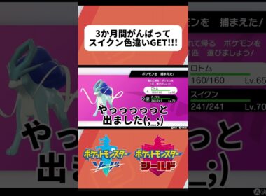 【ポケモン剣盾】ダイマックスアドベンチャーでスイクンの色違いGET!!#ポケモン #ポケモンsv #ポケモン剣盾 #ダイアド #pokemon #ポケモン色違い #色違い厳選 #色違いポケモン