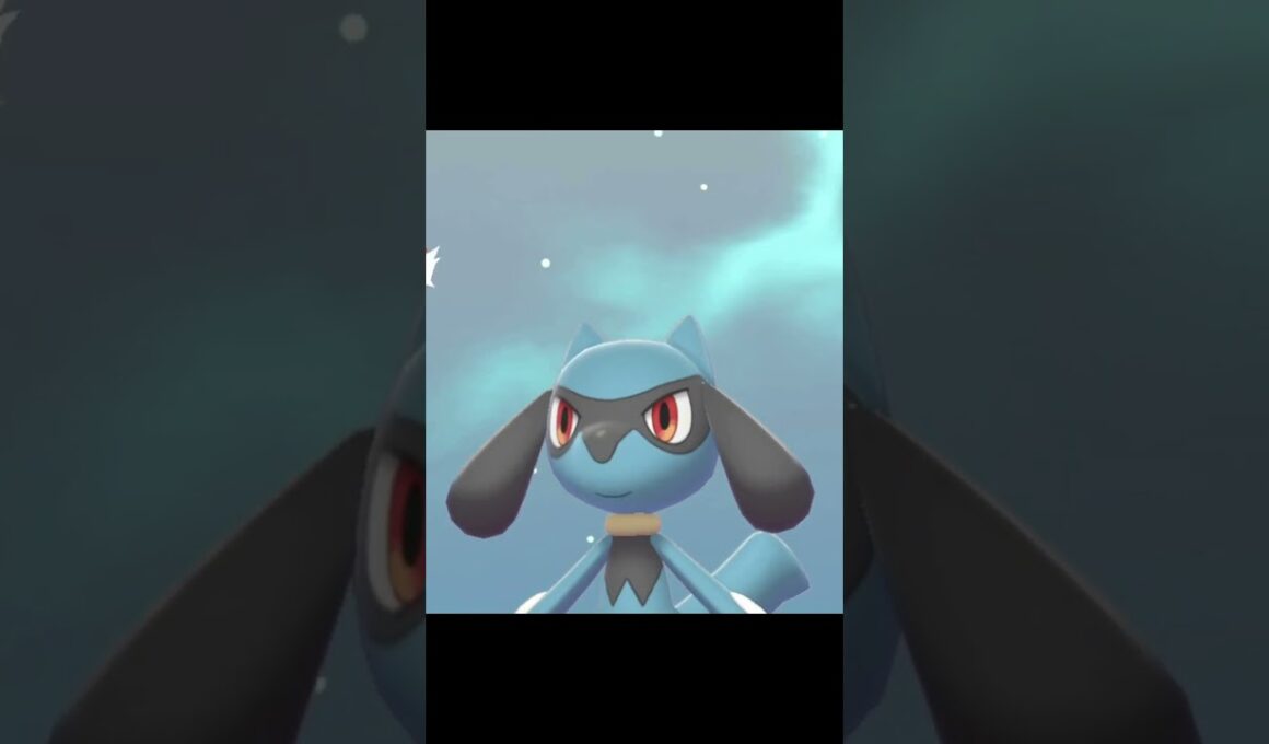 リザードン級のカレーを食べたリオルの反応　#Shorts