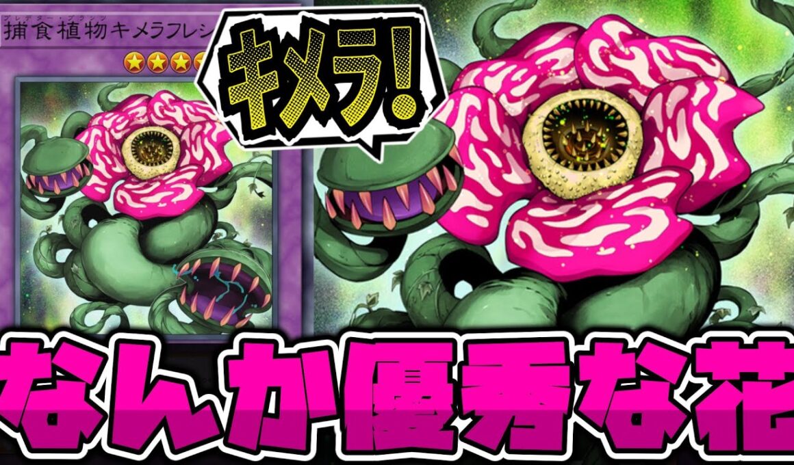 【遊戯王】 こんな見た目なのにめちゃくちゃ主人公エース級 『捕食植物キメラフレシア』 【ゆっくり解説】
