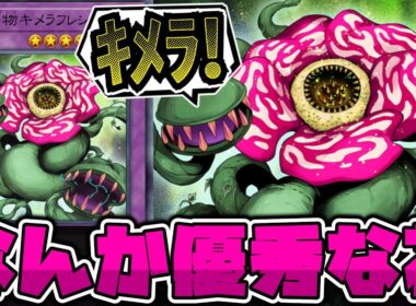 【遊戯王】 こんな見た目なのにめちゃくちゃ主人公エース級 『捕食植物キメラフレシア』 【ゆっくり解説】