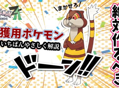【ポケモンZA】超便利！捕獲率が倒すよりも高くなる！捕獲用オヤブンミルホッグの努力値の振り方や育成方法を詳しく解説！ポケモンレジェンズZA