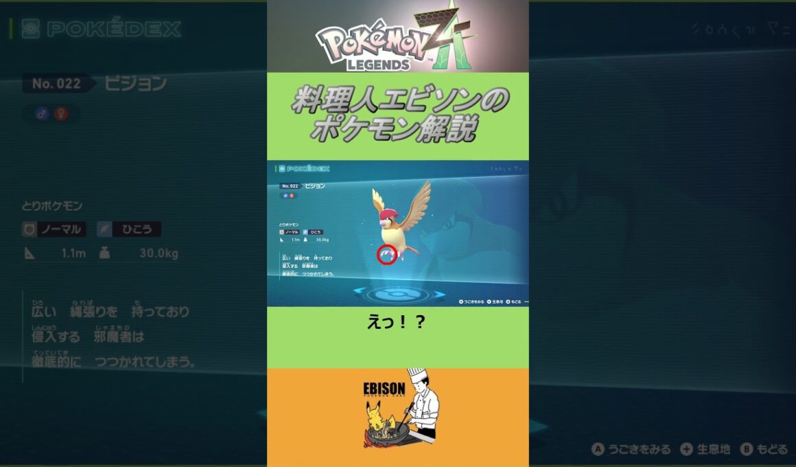 エビソンのポケモン解説195　#ポケモン #ポケモンza　#レジェンズ  #ピジョン