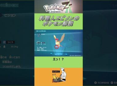 エビソンのポケモン解説195　#ポケモン #ポケモンza　#レジェンズ  #ピジョン