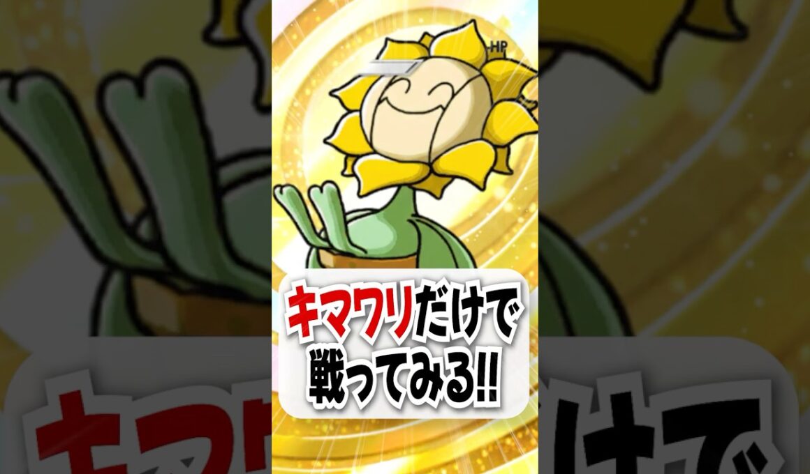 【検証】早熟エキスで強くなるキマワリだけで戦ってみた！【ポケポケ】