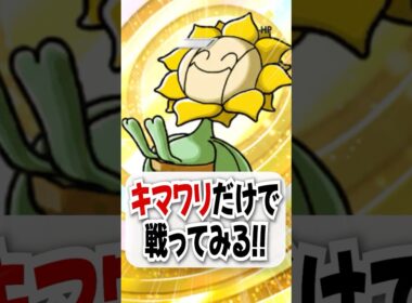 【検証】早熟エキスで強くなるキマワリだけで戦ってみた！【ポケポケ】