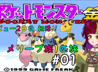 【ポケモン金】朝活！！メリープ一匹旅 #01【デビュー2日目】