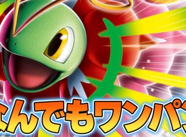 【ポケカ/対戦】メガメガニウムex、3エネで370ダメージを出してしまう。【暴力】