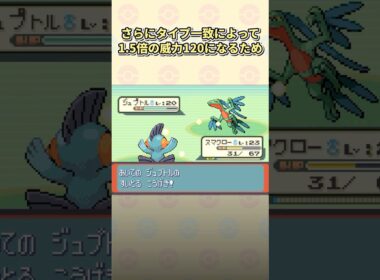 ルビサファで9割が苦戦した初見殺しのトラウマトレーナー2選 #ポケモン #ルビサファ