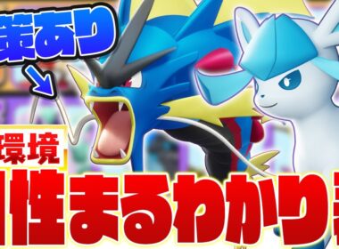 【ドラフト力UP】メガギャラドスもグレイシアも対策できる！環境ポケモンや最新アプデで調整されたポケモンの有利不利について解説【ポケモンユナイト実況解説】