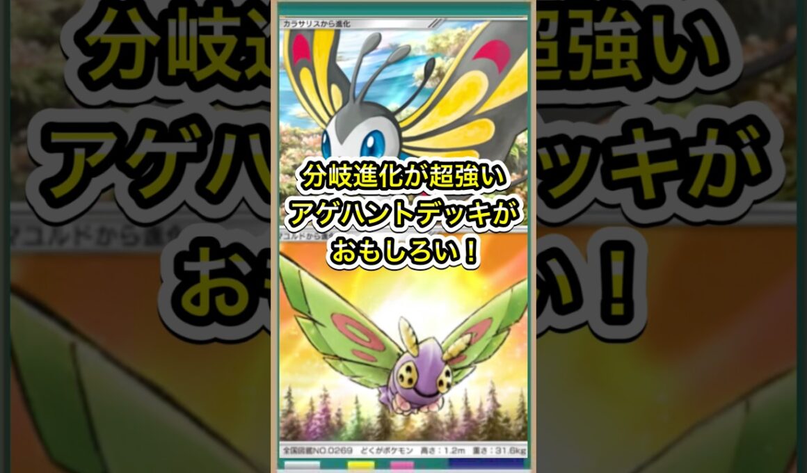 【ポケポケ】大会入賞！アゲハントデッキの分岐進化が面白い！【ポケカ】メガライジング環境最強デッキ最新情報 #ポケポケ #ポケカ #メガライジング