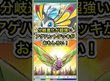 【ポケポケ】大会入賞！アゲハントデッキの分岐進化が面白い！【ポケカ】メガライジング環境最強デッキ最新情報 #ポケポケ #ポケカ #メガライジング