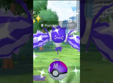 ついにポケモンGOで色違いレジエレキレイドゲットしたよ✨️