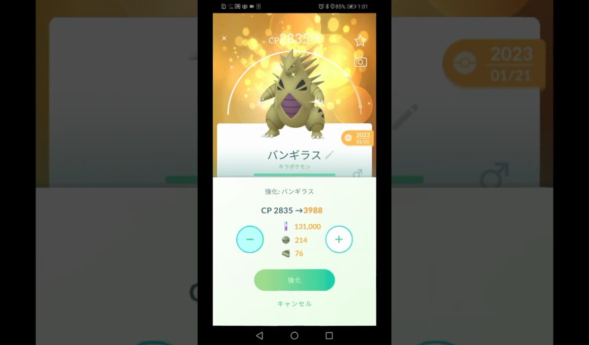 ポケモンGO　色違いバンギラスをPL26からPL40まで強化をやってみた。