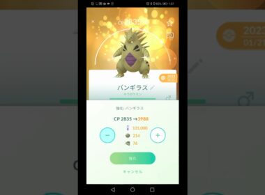 ポケモンGO　色違いバンギラスをPL26からPL40まで強化をやってみた。