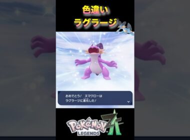 色違いミズゴロウを進化してラグラージへ！#pokémonlegendsza #ポケモンza #ポケモンレジェンズza #shinypokemon #ミズゴロウ