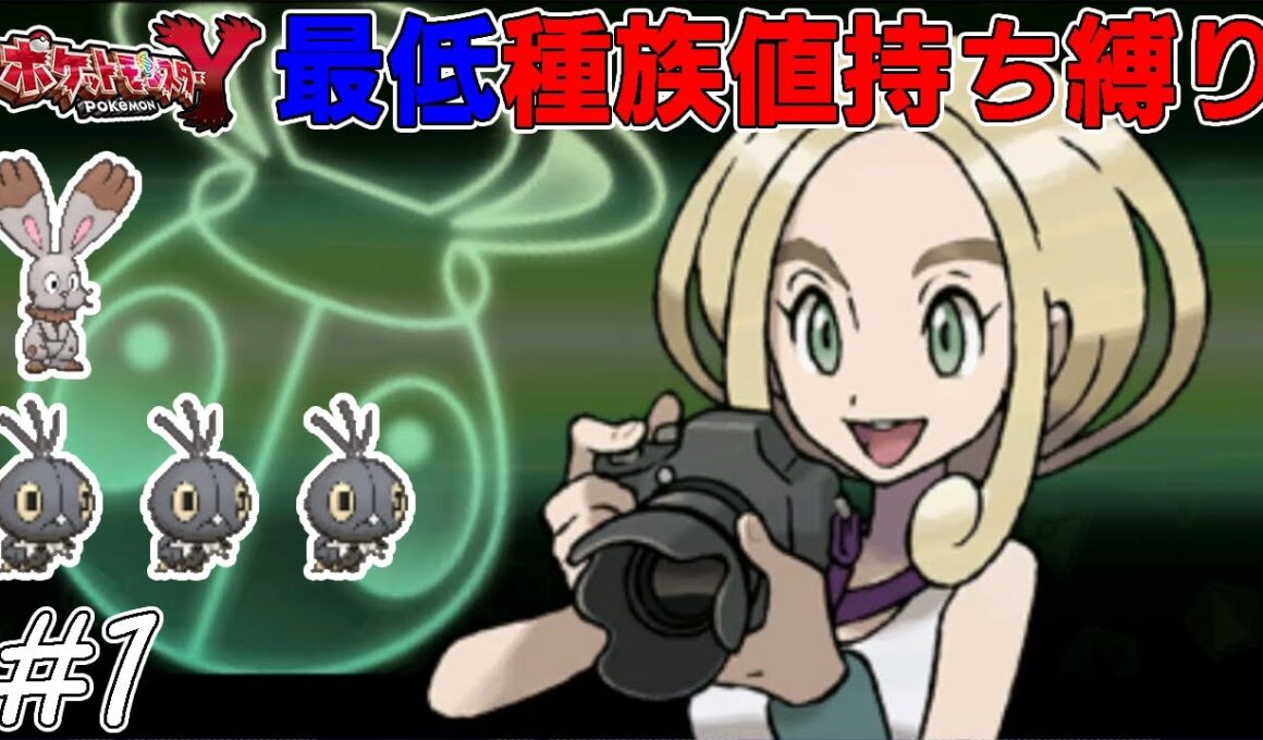 【ゆっくり実況】ポケモンYを最低種族値持ちだけでクリアする　part1【ポケモンXY】