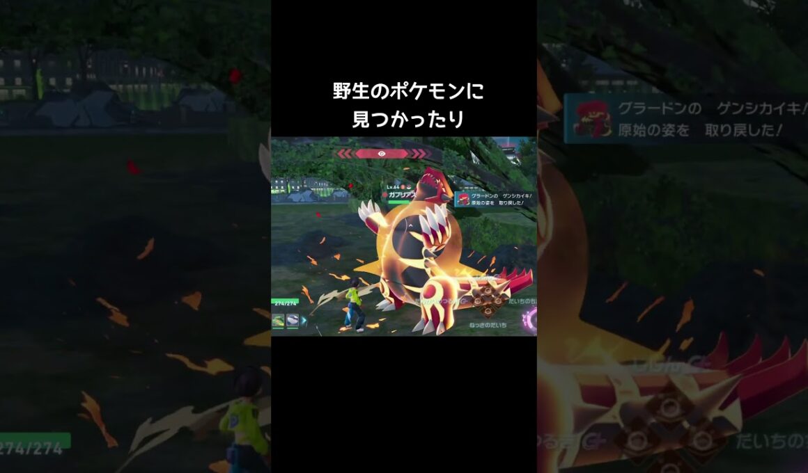 ゲンシカイキの発動条件【ポケモンZA】#メガシンカ#レックウザ#カイオーガ #グラードン