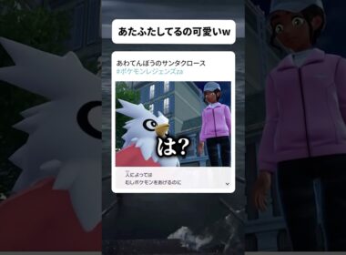 さわがしデリバード 【 #ポケモンレジェンズza 】