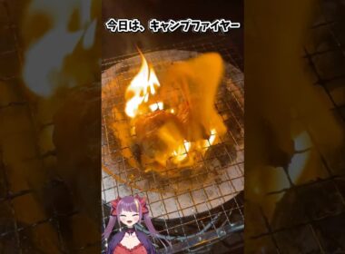 【炭火焼】ホルモンで行うキャンプファイヤー　#飯テロ #shorts