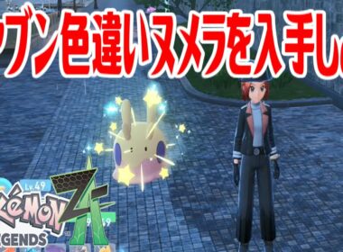 【ポケモンZ-A】オヤブン色違いヌメラを入手しよう【Pokémon LEGENDS Z-A】