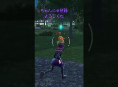 色違いオヤブンチコリータ！ #色違いポケモン #ポケモン #ポケモンレジェンズza #pokemon #shinypokemon