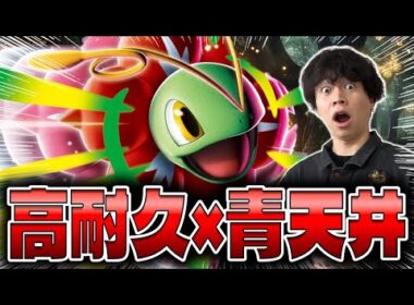 【ポケカ/対戦】草エネ2倍で超高火力!!メガメガニウムex+オーガポンデッキが楽しい(vs サーフゴーex/スタートデッキ100)
