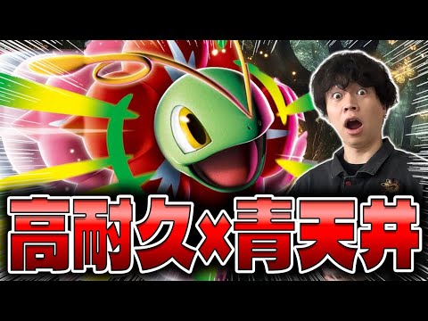 【ポケカ/対戦】草エネ2倍で超高火力!!メガメガニウムex+オーガポンデッキが楽しい(vs サーフゴーex/スタートデッキ100)