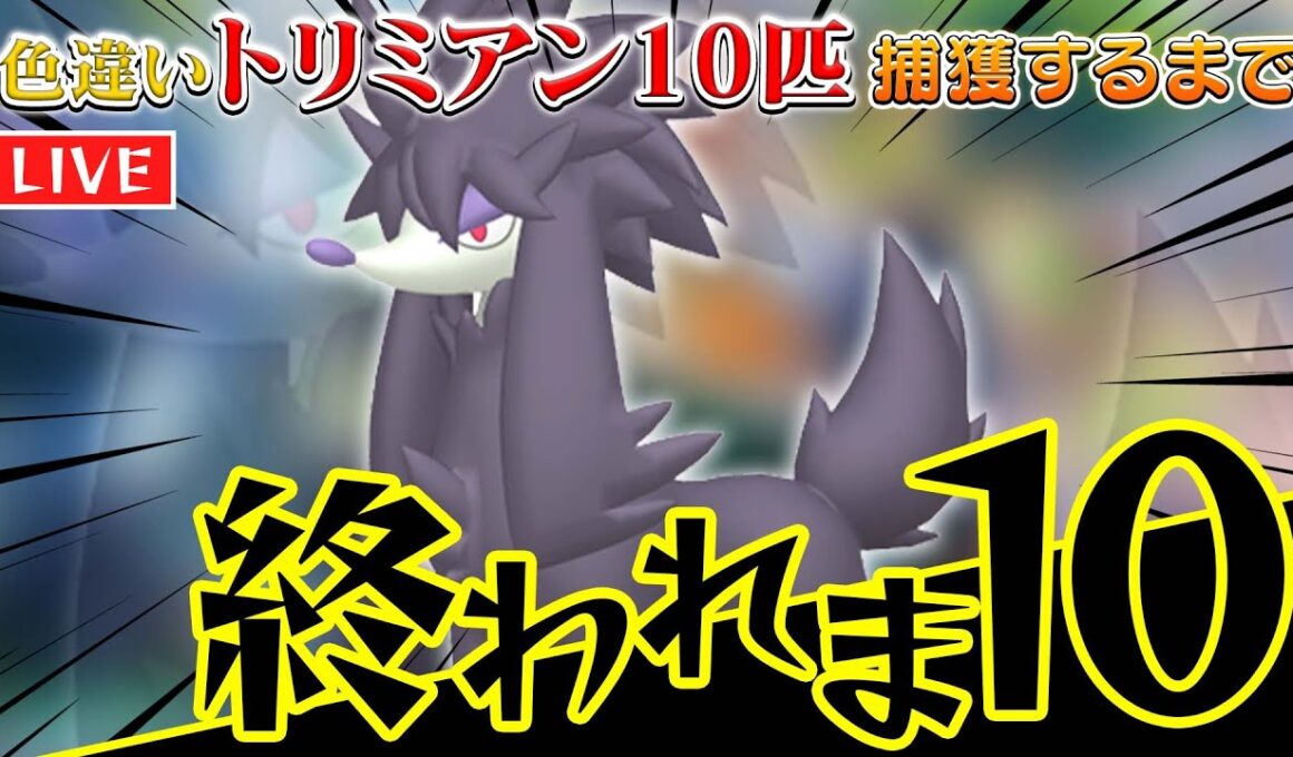 【ポケモンZA】色違いトリミアン10匹捕獲まで終われま10【Pokémon LEGENDS Z-A】