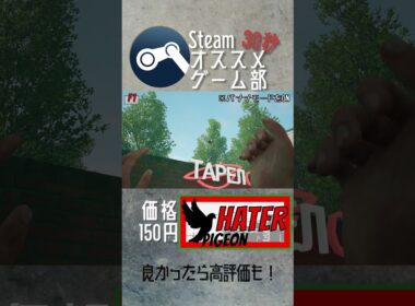 【Steamオススメゲーム部】Pigeon Hater #shorts